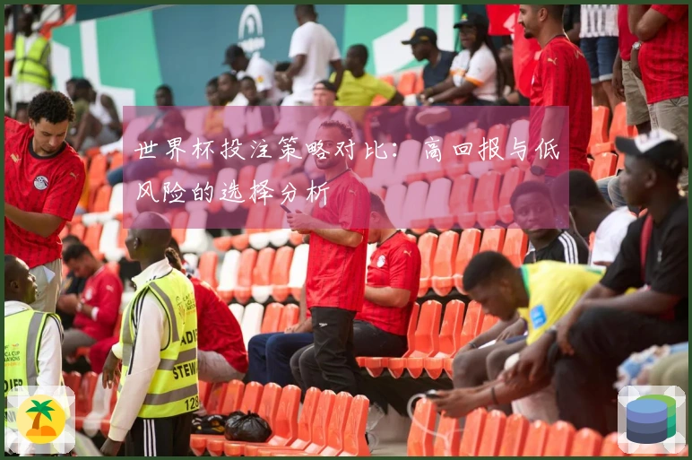 世界杯投注策略对比：高回报与低风险的选择分析