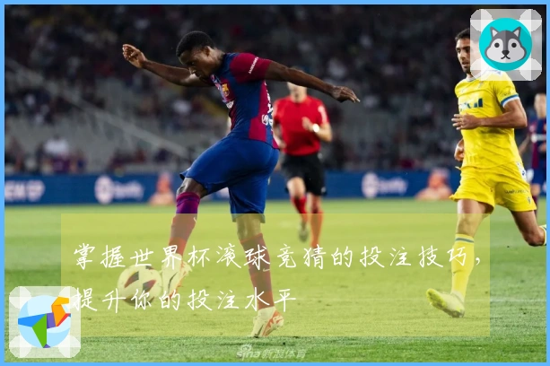 掌握世界杯滚球竞猜的投注技巧，提升你的投注水平