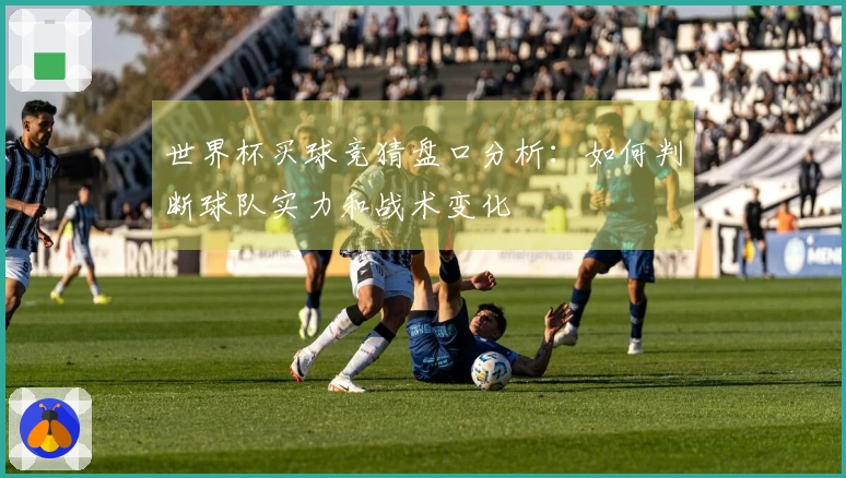 世界杯买球竞猜盘口分析：如何判断球队实力和战术变化