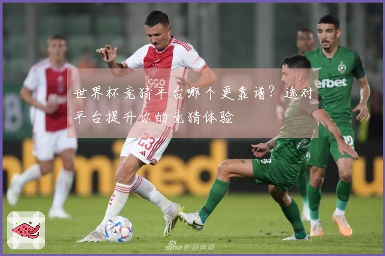 世界杯竞猜平台哪个更靠谱？选对平台提升你的竞猜体验
