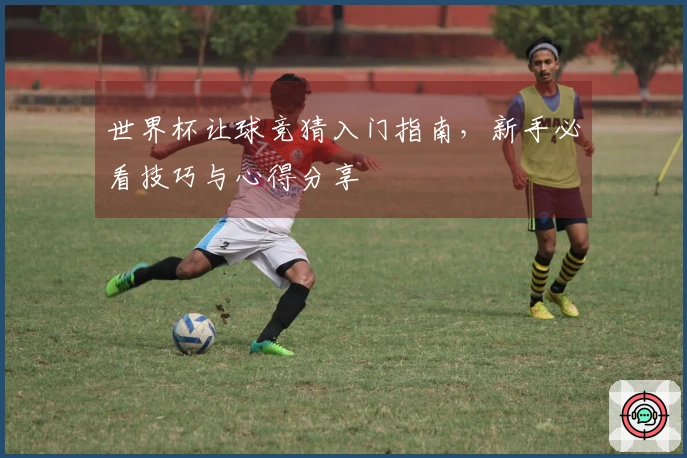 世界杯让球竞猜入门指南，新手必看技巧与心得分享