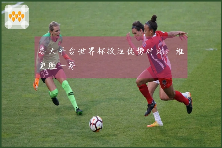 各大平台世界杯投注优势对比，谁更胜一筹
