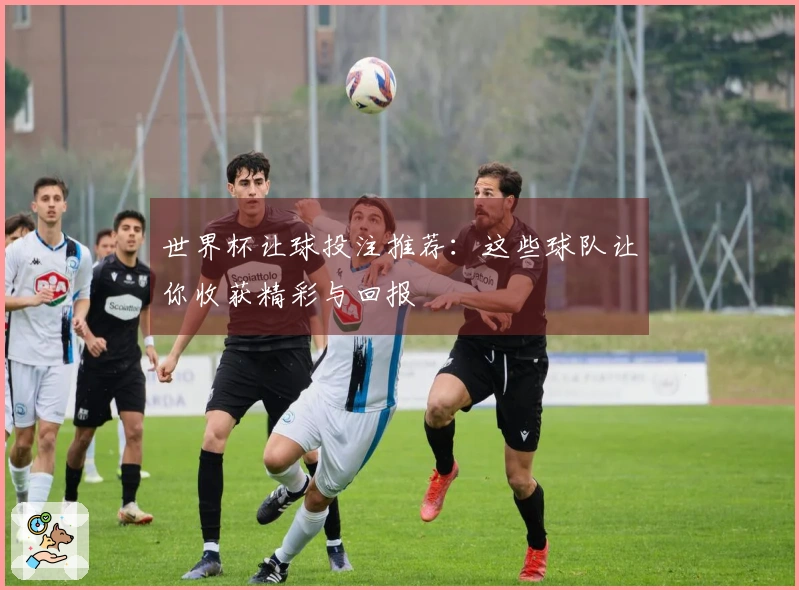 世界杯让球投注推荐：这些球队让你收获精彩与回报