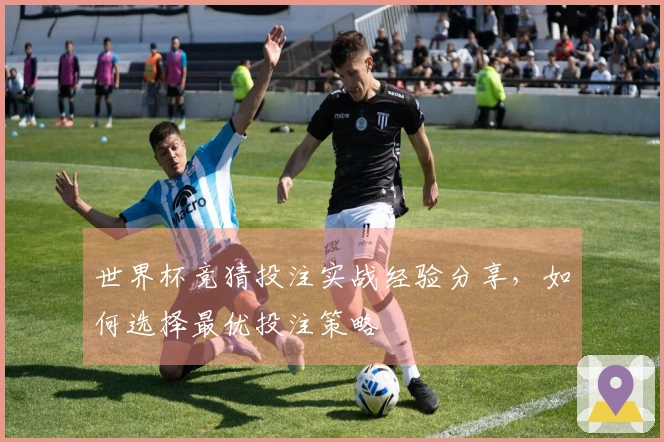 世界杯竞猜投注实战经验分享，如何选择最优投注策略